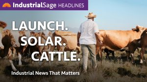 Rancher in a straw hat walking through a herd of cattle, IndustrialSage Headlines Episode 32 thumbnail reading "Launch. Solar. Cattle."